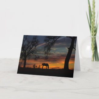 Bonitas tarjetas de notas para caballos en blanco