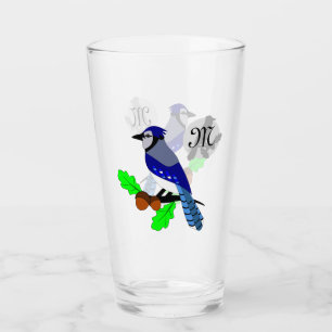 Bonito azul Jay Bird