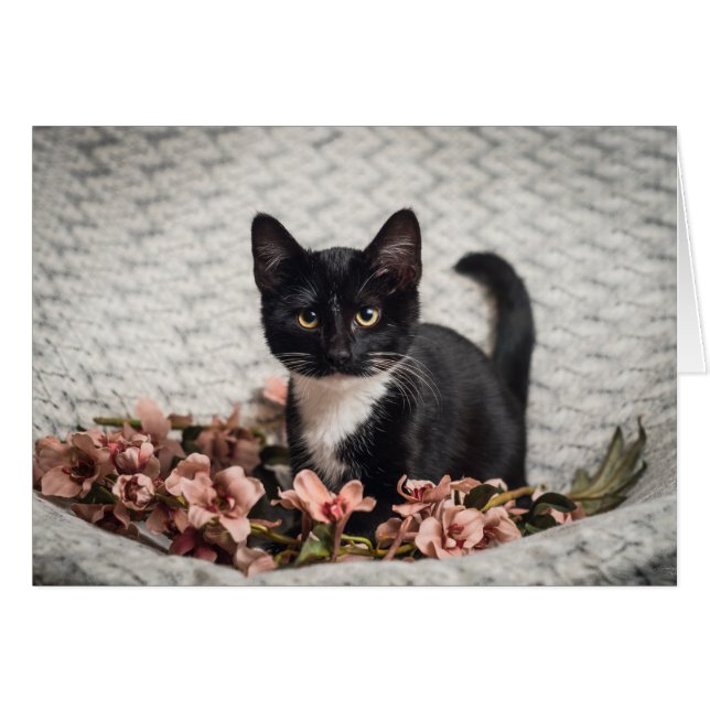 Bonito Bella Rosa (Anverso (Horizontal))