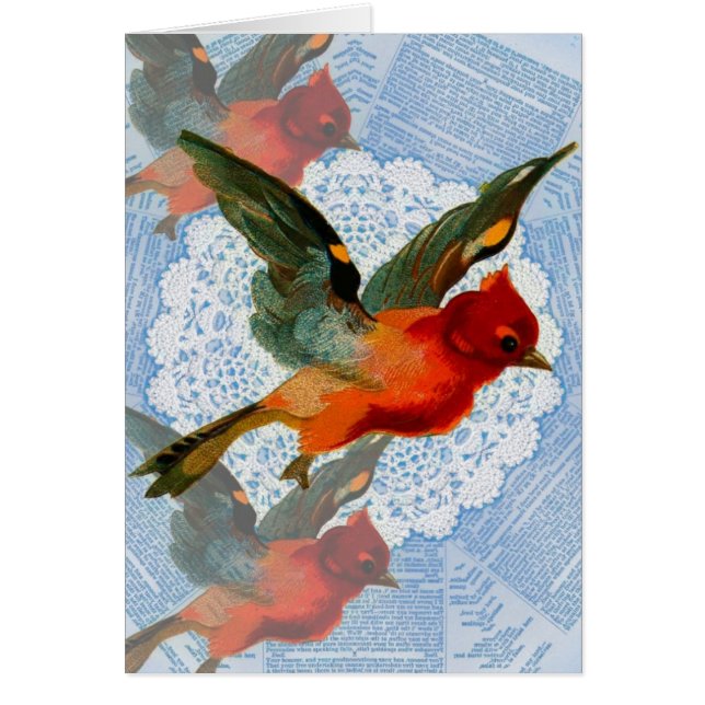 Bonito Birdie (Frente)