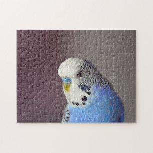 Bonito Blue Budgie Photo Jigsaw Puzzle