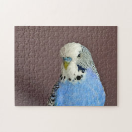 Bonito Blue Parakeet Photo Jigsaw Puzzle