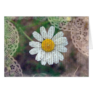 Bonito Como Daisy