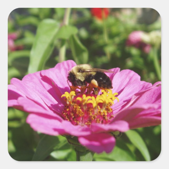 Bonito conjunto de Pegatinas Bee (Anverso)