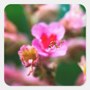 Bonito conjunto de Pegatinas de flores