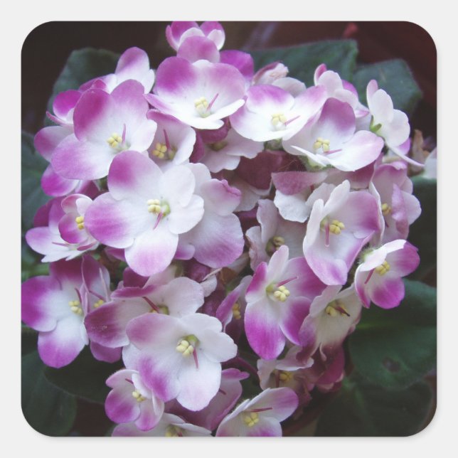 Bonito conjunto de Pegatinas de flores (Anverso)