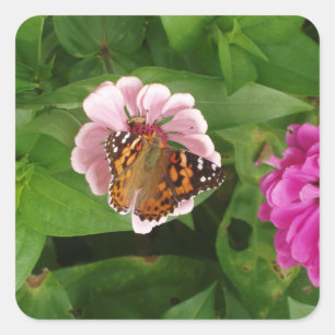 Bonito conjunto de Pegatinas de mariposa