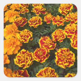 Bonito conjunto de Pegatinas Marigolds