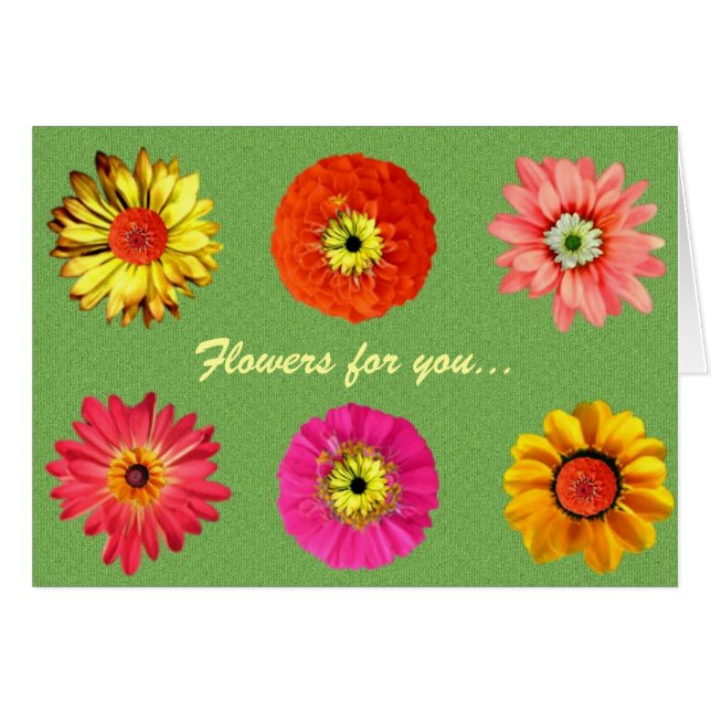 Bonito Daisies (Anverso (Horizontal))