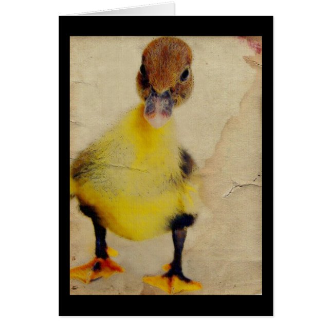 Bonito Duckling (Frente)