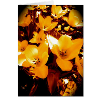 Bonito en amarillo