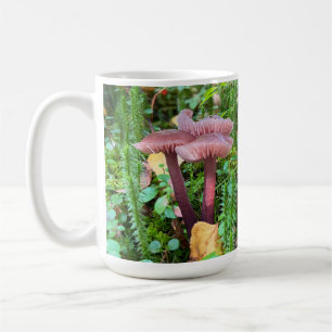 Bonito en hongos rosados - 15 oz. Jarra