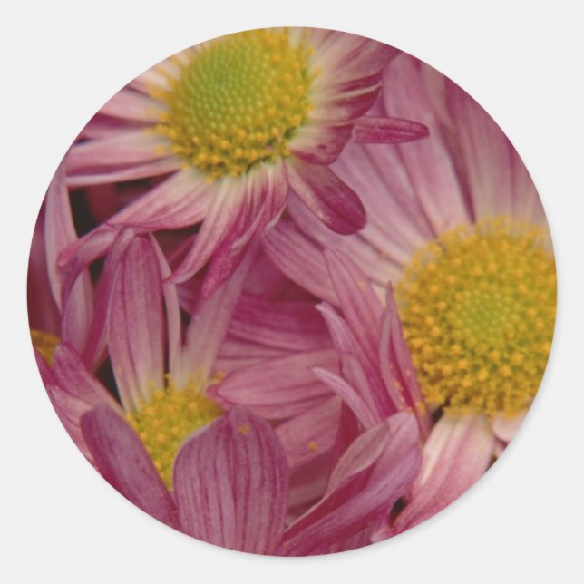 Bonito En Rosa: Sellos para sobres (Anverso)