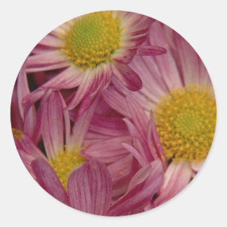 Bonito En Rosa: Sellos para sobres