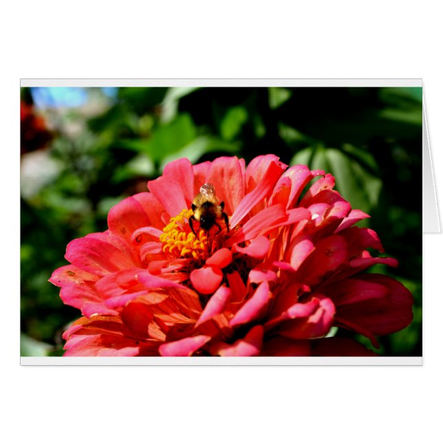 Bonito floral y abeja de miel (Anverso (Horizontal))