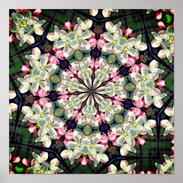 Bonito Flores Primavera Flores Resumen Arte (Frente)