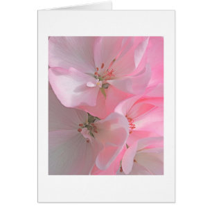 Bonito Flores rosas Nota en blanco