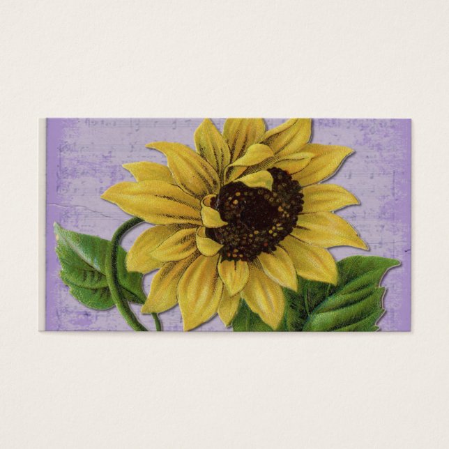 Bonito girasol en la música a la vista (Frente)