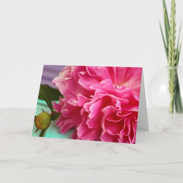 Bonito interior en blanco Elegante floral rosa ple (Anverso)