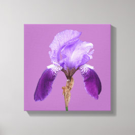 Bonito iris morado florido moderno arte sencillo