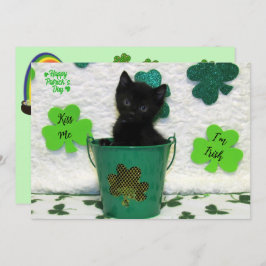Bonito Jack - Cat / Kitten St. Patrick's Day