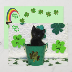 Bonito Jack - Cat / Kitten St. Patrick's Day