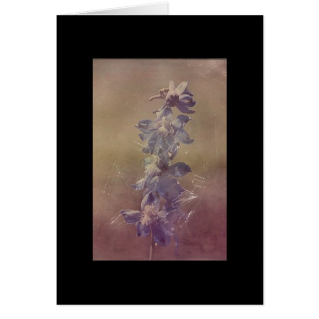 Bonito Morado Flor Grunge (Frente)