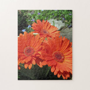 Bonito Naranja Daisy Flower Photo Puzzle