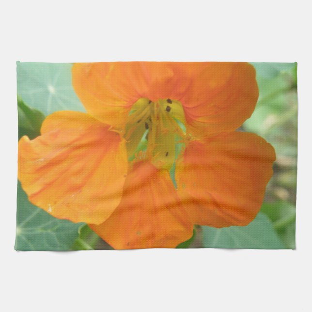 Bonito Naranja Nasturtium Flower Kitchen Toalla (Horizontal)