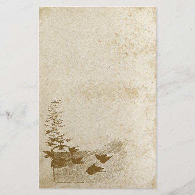 Bonito papel de papelería de pájaro con manchas an (Anverso)