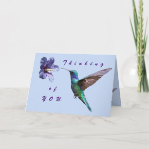 Bonito pensamiento de tu tarjeta Hummingbird