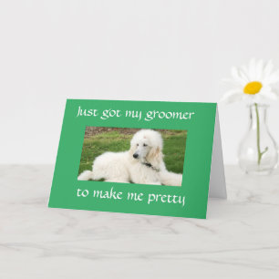 BONITO "POODLE" DICE TARJETA DE "CUMPLEAÑOS FELIZ"