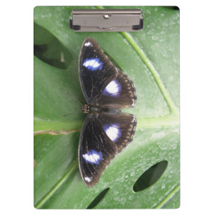 Bonito portapapeles de mariposa con manchas azules