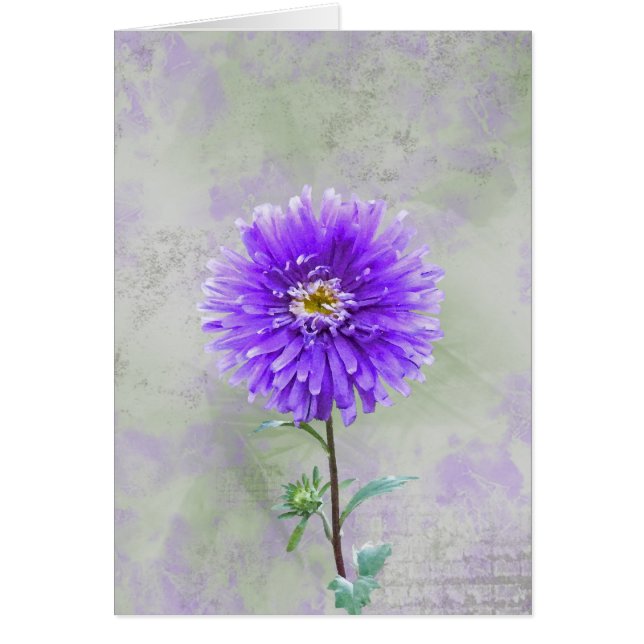 Bonito púrpura (Frente)