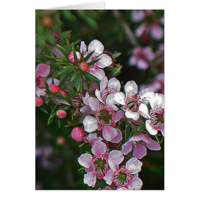 Bonito rosa (Frente)