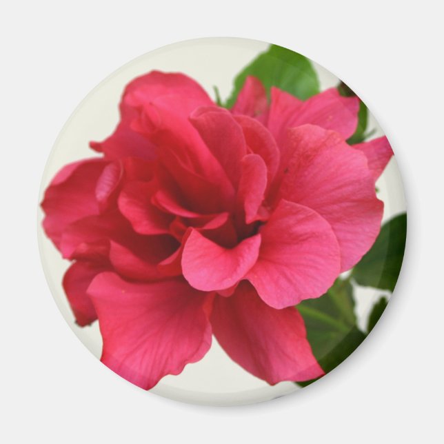 Bonito rosa - imán (Frente)