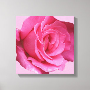 Bonito rosa rosa modernista modernista floral arte