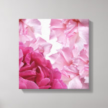 Bonito rosa rosa pétalo abstracto arte floral eleg