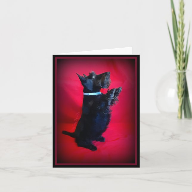 Bonito sentada (Anverso)