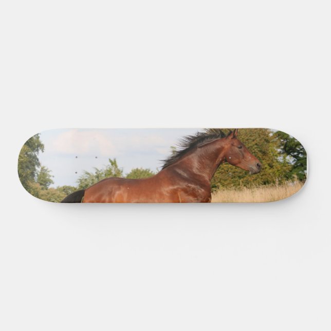 Bonito Skateboard para caballos (Horz)