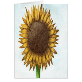 Bonito Sunflower