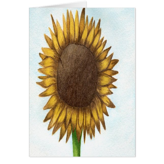 Bonito Sunflower (Frente)
