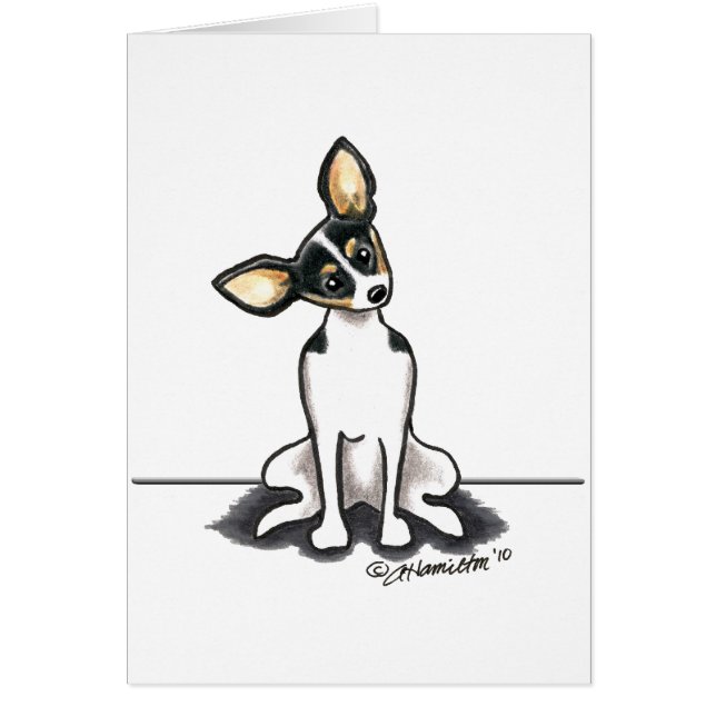 Bonito Tricolor Rat Terrier Sit (Frente)