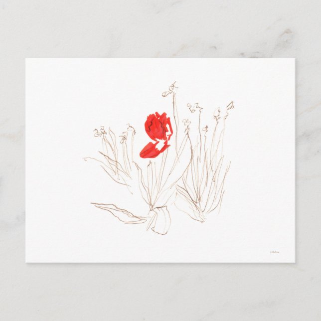 Bonito tulipán en la postal del viento y la lluvia (Anverso)