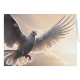 Bonito White Peace Dove