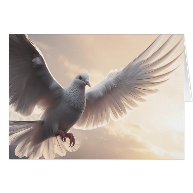 Bonito White Peace Dove (Anverso (Horizontal))