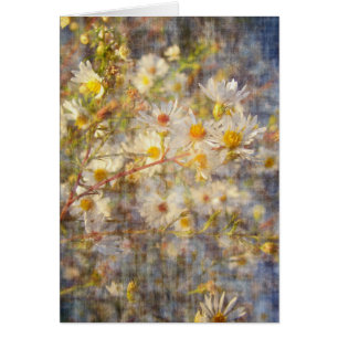 Bonito Wildflower