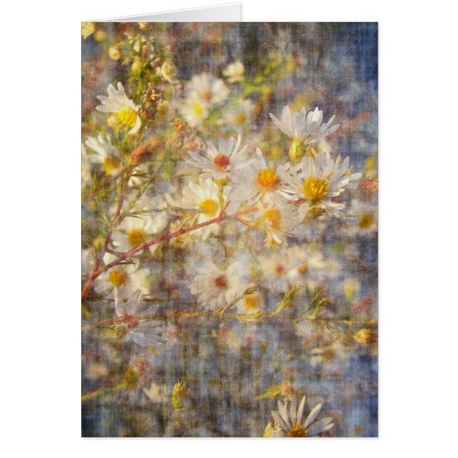 Bonito Wildflower (Frente)