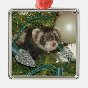 Bonnie en el ornamento del navidad del árbol