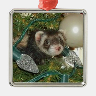 Bonnie en el ornamento del navidad del árbol